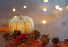 Why We Should Give Thanks for LED Lighting